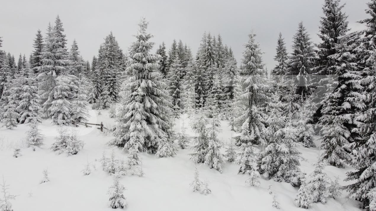 Teren de vânzare Mărişel - 184824TV | BLITZ Cluj-Napoca | Poza4