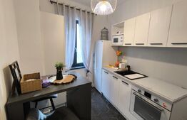 Apartament superb 2 camere, recent renovat - Centru Istoric