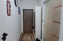 Apartament la mansarda, cu 3 camere, 60 de mp, in zona Teilor, parcare cu CF