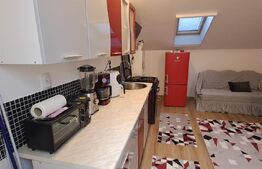 Apartament la mansarda, cu 3 camere, 60 de mp, in zona Teilor, parcare cu CF