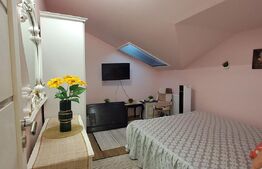 Apartament la mansarda, cu 3 camere, 60 de mp, in zona Teilor, parcare cu CF