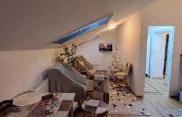 Apartament la mansarda, cu 3 camere, 60 de mp, in zona Teilor, parcare cu CF