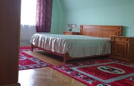 Proprietate cu doua cladiri in curte in apropiere de Cheile Turzii P+M 