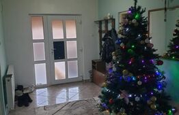 Proprietate cu doua cladiri in curte in apropiere de Cheile Turzii P+M 