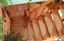 O casa cocheta in zona de top, cu 500 mp de teren!