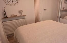 Apartament cu 2 cam, 29 de mp utili, etajul 2, cu parcare, zona Porii