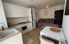 Apartament cu 2 camere, etaj intermediar, balcon, parcare, zona Porii