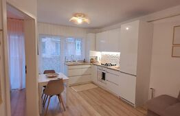 Apartament cu 2 cam, 29 de mp utili, etajul 2, cu parcare, zona Porii