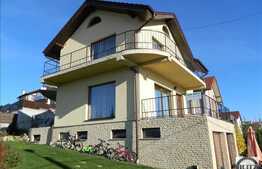 Casa + afacere la cheie! 6 camere, 290 mp, 2 garaje, imobil nou, zona linistita!