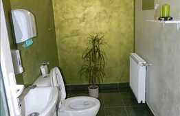 Casa + afacere la cheie! 6 camere, 290 mp, 2 garaje, imobil nou, zona linistita!