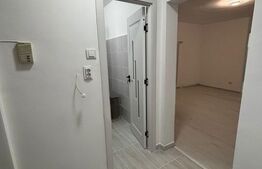 Garsonieră luminoasă, renovată recent - zona Noua