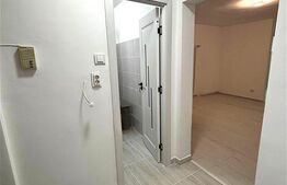 Garsonieră luminoasă, renovată recent - zona Noua