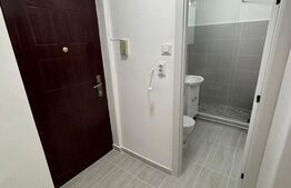 Garsonieră luminoasă, renovată recent - zona Noua