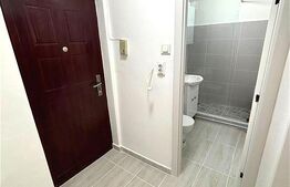 Garsonieră luminoasă, renovată recent - zona Noua