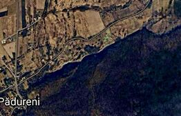 Teren intravilan 11600mp,drum asfaltat, situat in Padureni