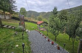 Cabană 62 mp construiti, teren de 750 mp, Valea Ierii