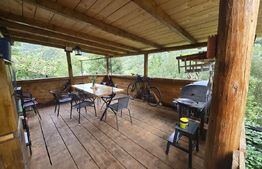 Cabană 62 mp construiti, teren de 750 mp, Valea Ierii