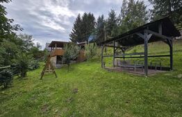 Cabană 62 mp construiti, teren de 750 mp, Valea Ierii