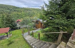 Cabană 62 mp construiti, teren de 750 mp, Valea Ierii