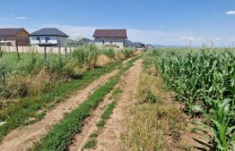 🏡 Teren de vânzare, partial intravilan – Izvor, Tărlungeni – 10.900 mp