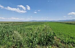 🏡 Teren de vânzare, partial intravilan – Izvor, Tărlungeni – 10.900 mp