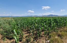 🏡 Teren de vânzare, partial intravilan – Izvor, Tărlungeni – 10.900 mp