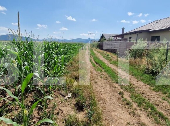 Teren de vânzare Florilor - 185022TV | BLITZ Brașov | Poza3