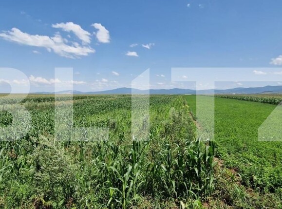 Teren de vânzare Florilor - 185022TV | BLITZ Brașov | Poza2