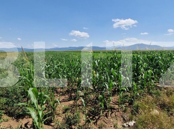 Teren de vânzare Florilor - 185022TV | BLITZ Brașov | Poza6