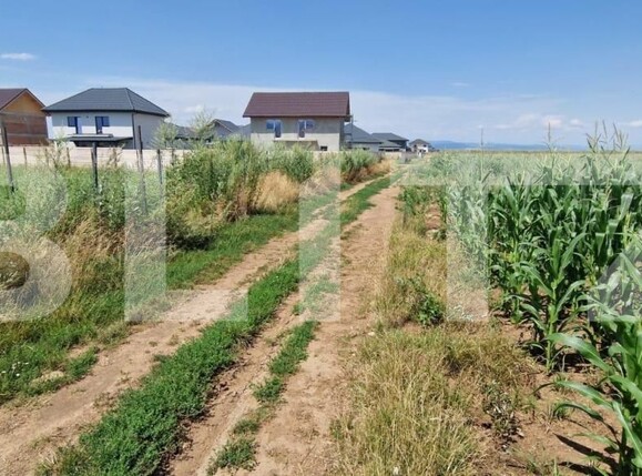 Teren de vânzare Florilor - 185022TV | BLITZ Brașov | Poza1