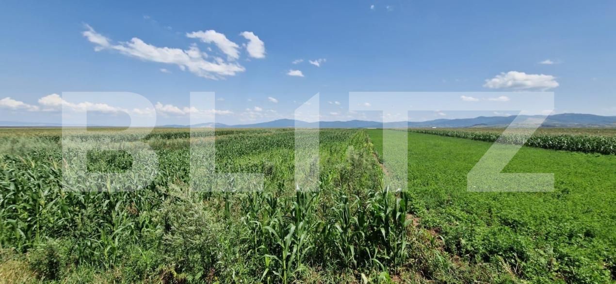 Teren de vânzare Florilor - 185022TV | BLITZ Brașov | Poza4