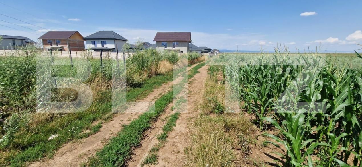 Teren de vânzare Florilor - 185022TV | BLITZ Brașov | Poza5