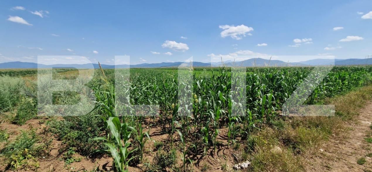 Teren de vânzare Florilor - 185022TV | BLITZ Brașov | Poza6