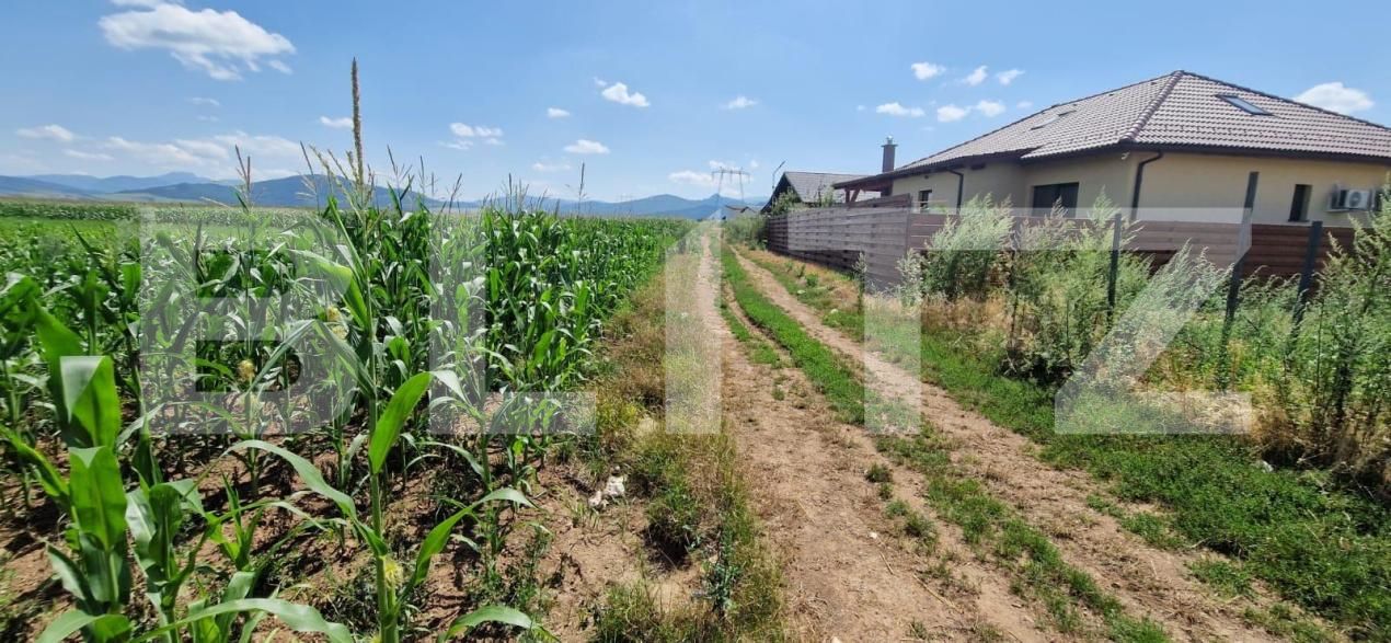 Teren de vânzare Florilor - 185022TV | BLITZ Brașov | Poza3