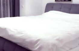 Studio de vanzare, decomandat, zona Tractoru Urban