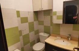 Apartament de 3 camere,72 mp, Plopilor