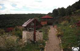 Gradina amenajata de 3500 mp, intimitate si liniste!Priveliste deosebita!