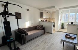 Apartament de vanzare, cu o camere, Centru Civic