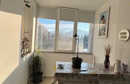Apartament de vanzare, cu o camere, Centru Civic