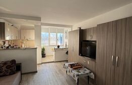 Apartament de vanzare, cu o camere, Centru Civic