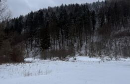 Cabană la munte în inima pădurii la 15 km de Brașov, zona Zizin