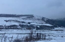 Cabană la munte în inima pădurii la 15 km de Brașov, zona Zizin