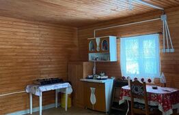 Cabană la munte în inima pădurii la 15 km de Brașov, zona Zizin