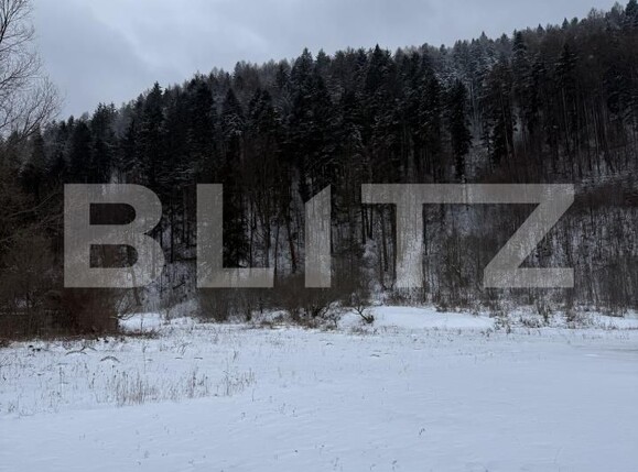 Casa de vânzare 4 camere Tarlungeni - 185075CV | BLITZ Brașov | Poza2