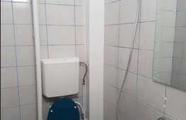 Apartament 1 camera, etaj intermediar, zona Gheorgheni
