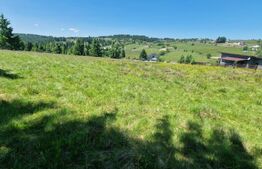 Teren extravilan, 5800 mp, Marisel