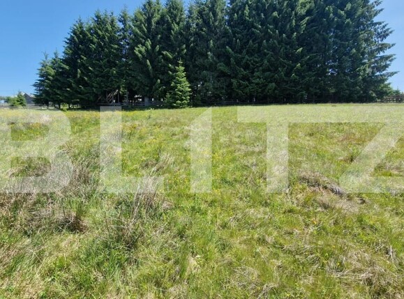 Teren de vânzare Mărişel - 185116TV | BLITZ Cluj-Napoca | Poza1