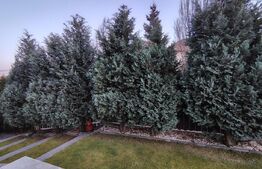 Casa 330 mp utili, teren 520 mp, zona Andrei Mureșanu