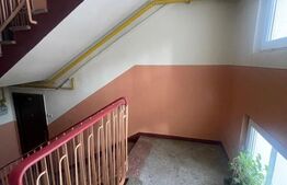 Apartament 2 camere, 50 mp, balcon, etaj1, Gheorgheni