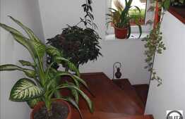 Triplex La Cheie in Zona Campului!